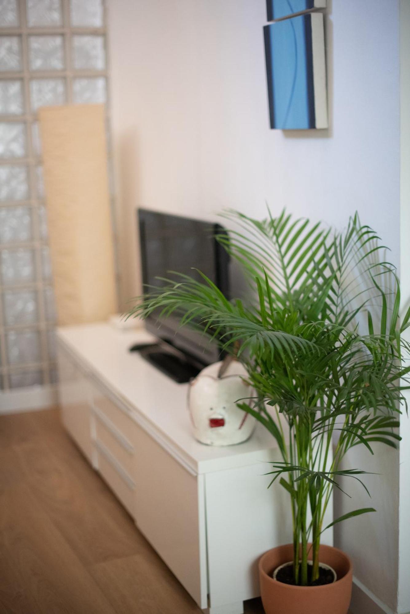 Cozy & Quiet Apartment In The Center Málaga Exterior foto